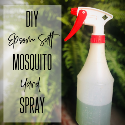 #1 Epsom Salt DIY Mosquito Yard Spray - Lost in Float